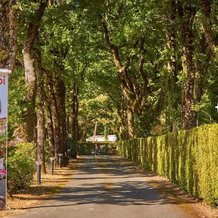 Kamp alanı Tohapi Coeur De Vendee La Boissiere-de-Montaigu