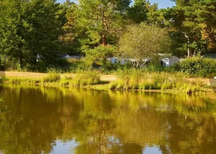 Tohapi Coeur De Vendee Kemp