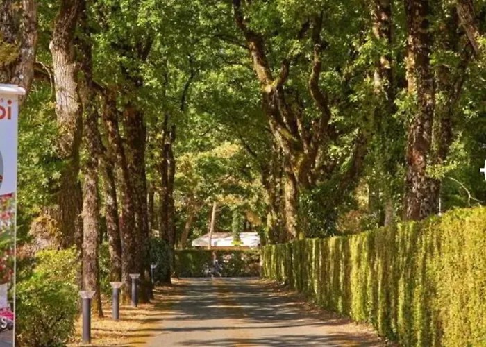 キャンプ場 Tohapi Coeur De Vendee La Boissière-de-Montaigu